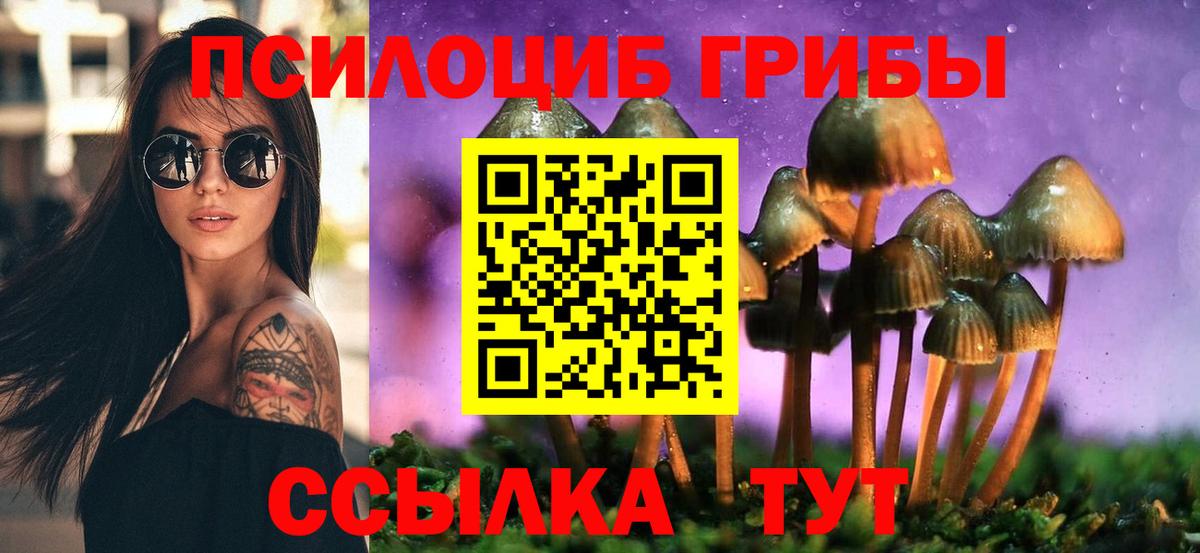 где можно купить   Псилоцибиновые грибы прущие грибы  Вход с VPN  Псилоцибиновые грибы Psilocybe  Сегежа 